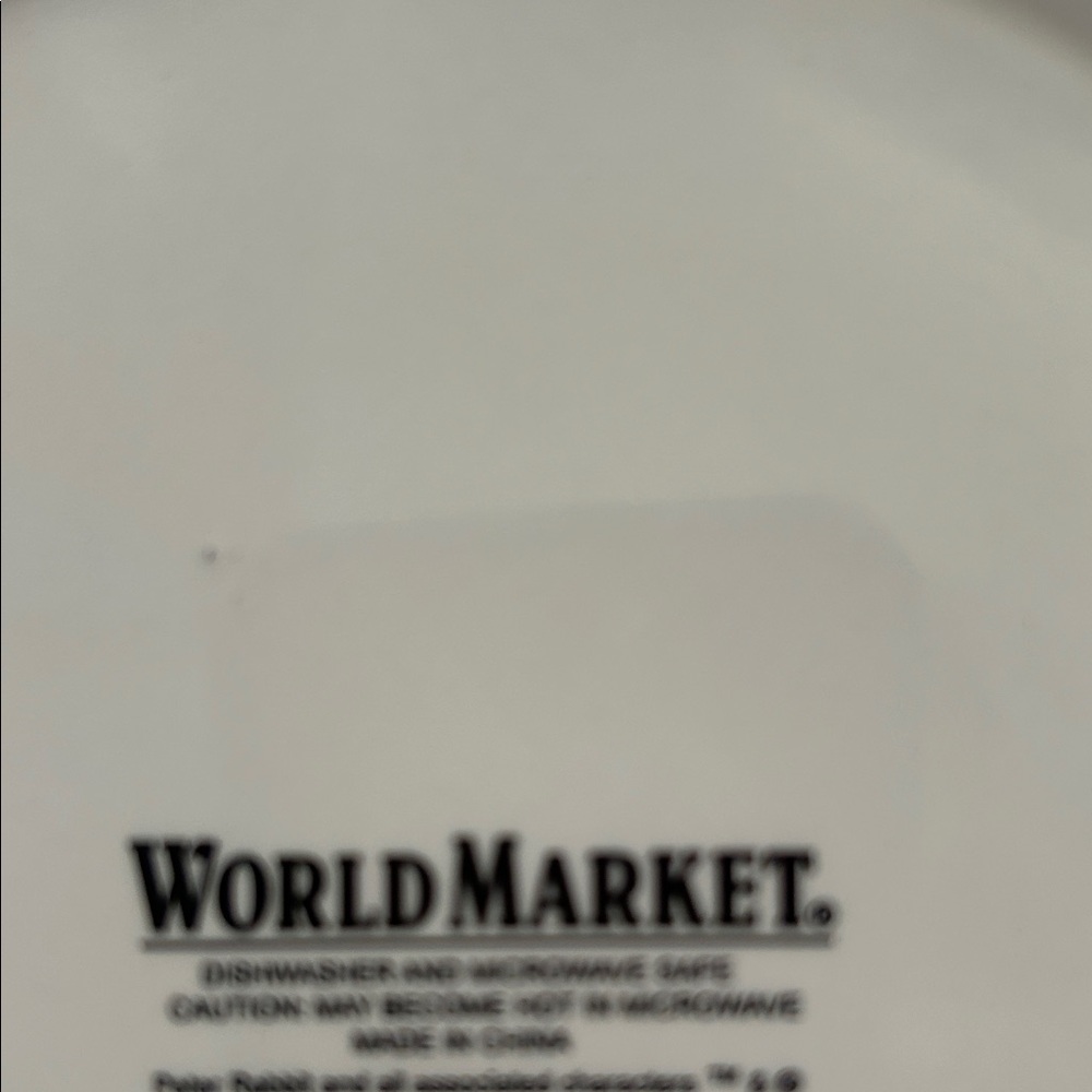 World Market Ceramic Plate with Black Logo Accent - Picture 2 of 10